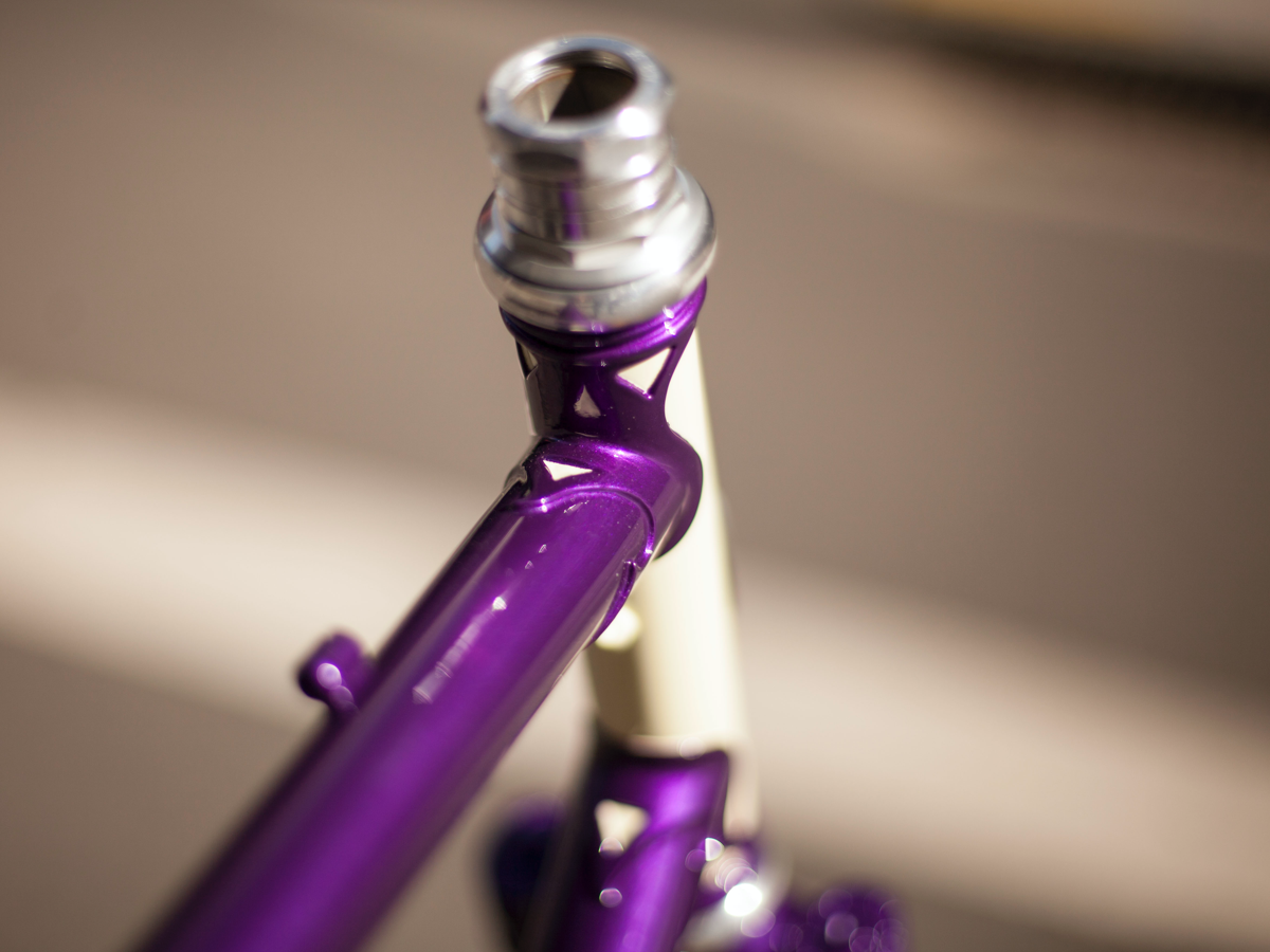 RIVENDELL APPALOOSA FRAME - ANA PURPLE