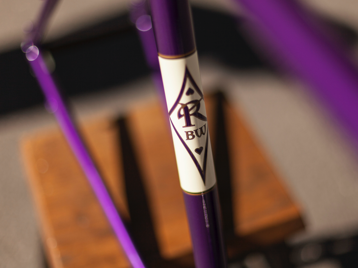 RIVENDELL APPALOOSA FRAME - ANA PURPLE