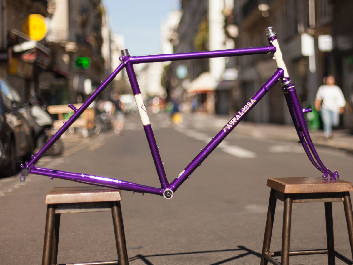 RIVENDELL APPALOOSA FRAME - ANA PURPLE