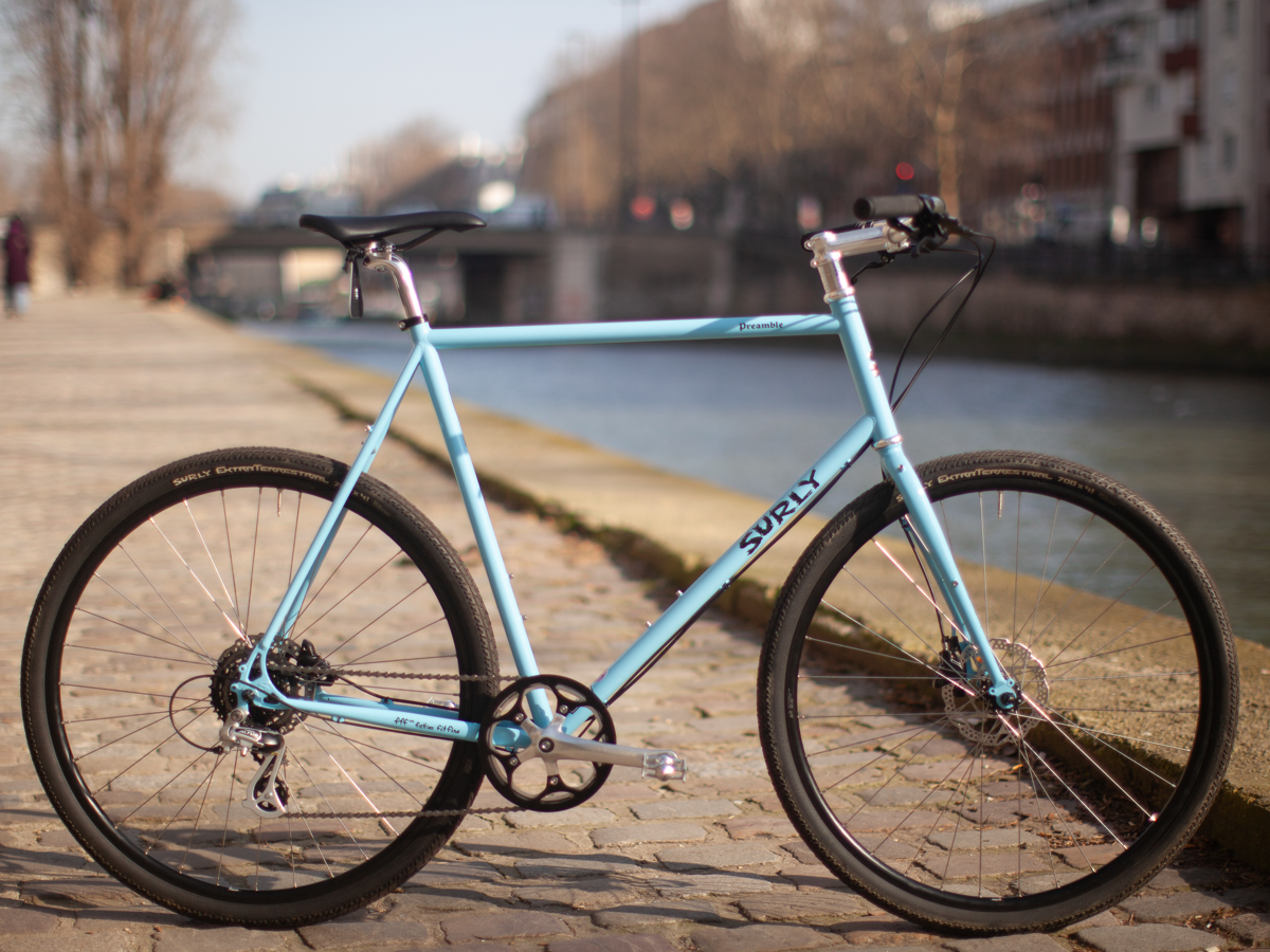 SURLY PREAMBLE LA CHOUETTE BUILD - XL